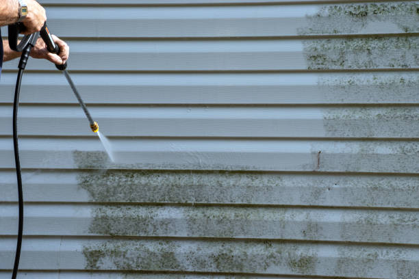 Custom Trim and Detailing for Siding in Falmouth, VA