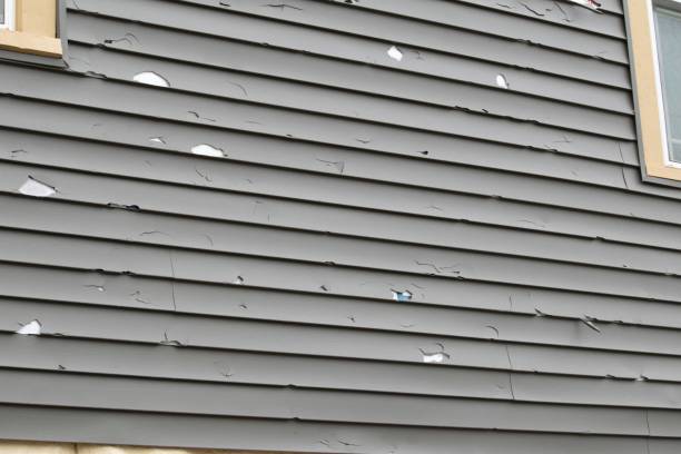 Trusted Falmouth, VA Siding Installation & Repair Experts