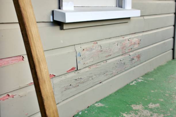 Best Fiber Cement Siding Installation  in Falmouth, VA